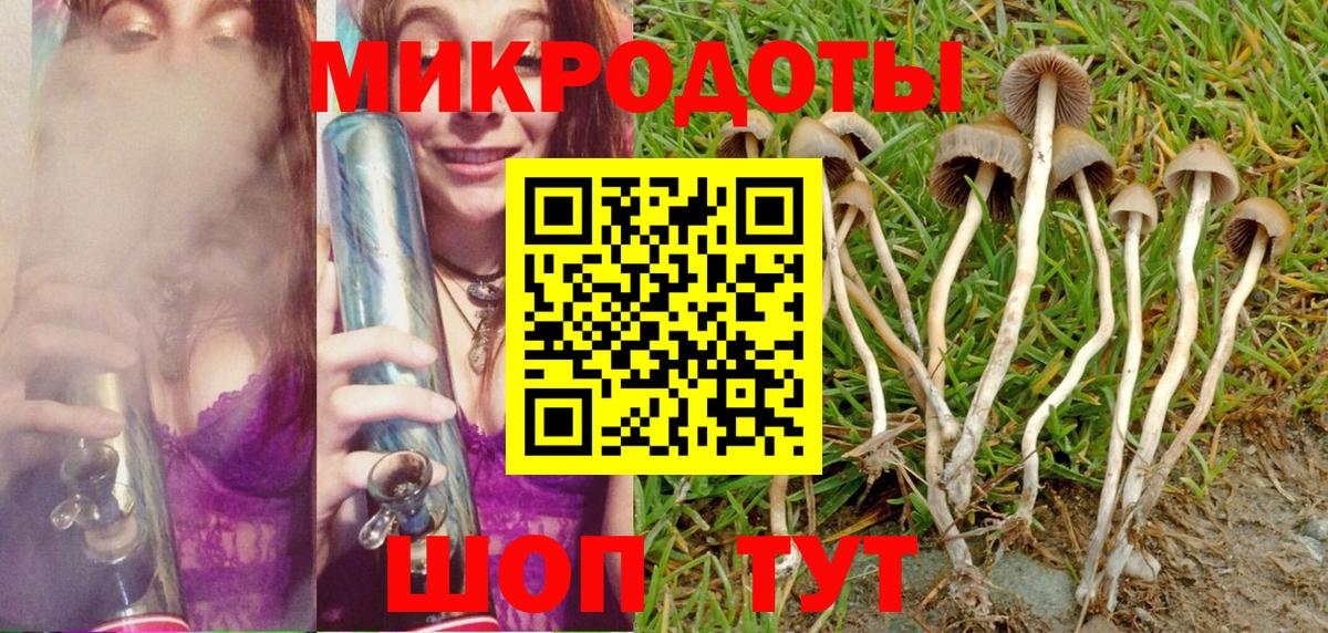 Галлюциногенные грибы MAGIC MUSHROOMS  Псилоцибиновые грибы Psilocybine cubensis  Вход с VPN  Жуковский 
