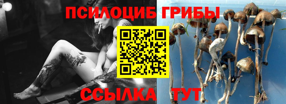 Галлюциногенные грибы MAGIC MUSHROOMS Жуковский